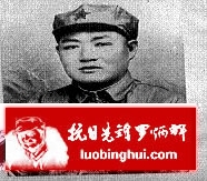201305301509597038