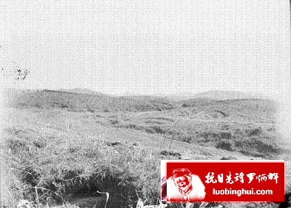 201305301510017614