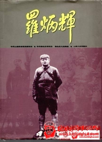 201307121733008324
