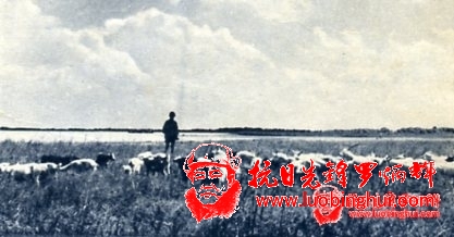 201307201517027474