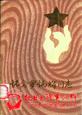 201309151004296232